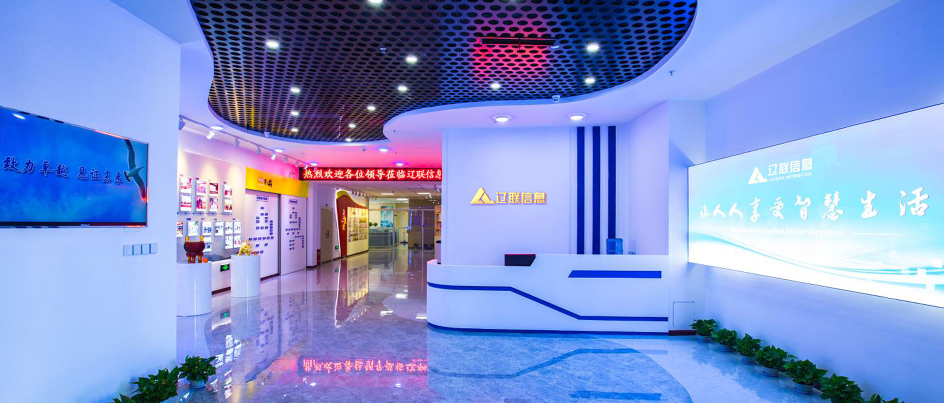 赢多多集团