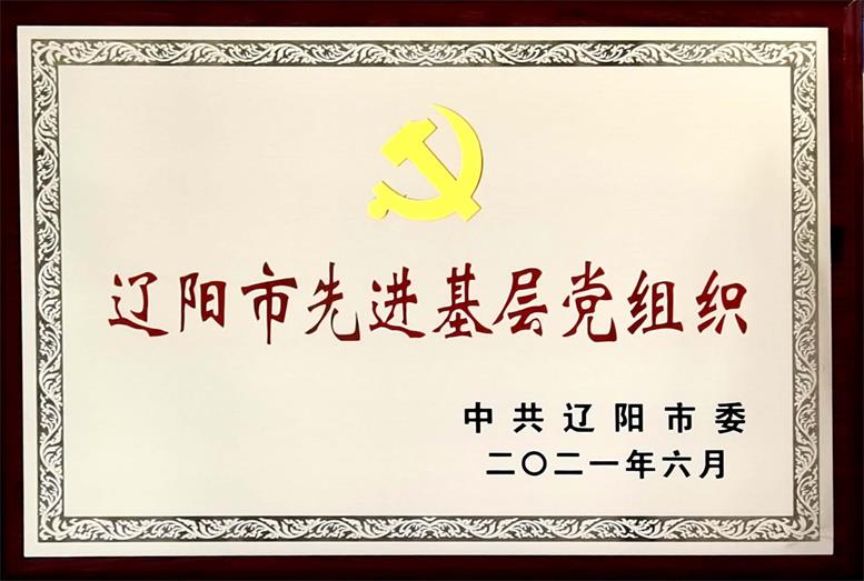 赢多多集团荣获“辽阳市先进基层党组织”称号
